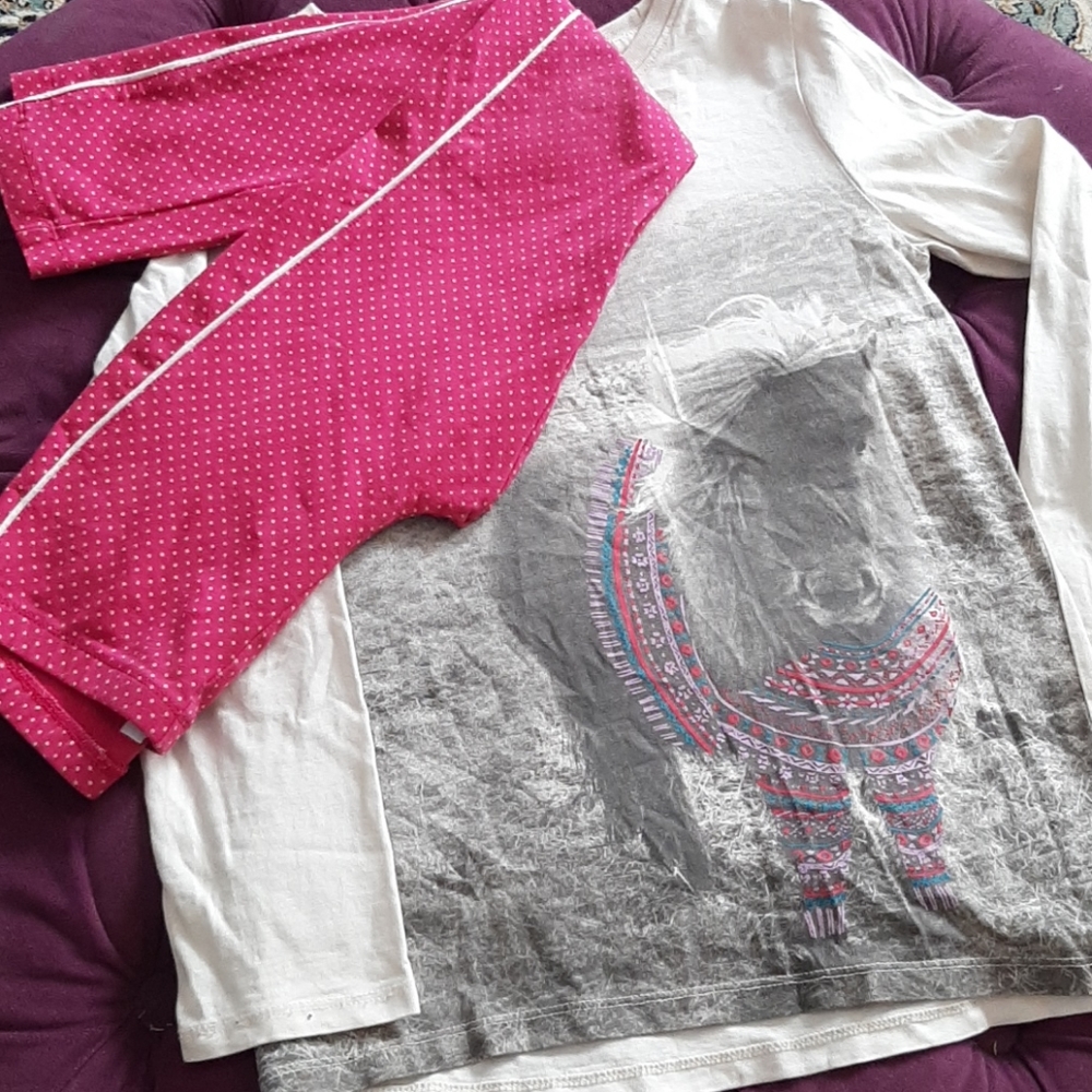🐎 Size 10 funky horse shirt and leggings 🐎
